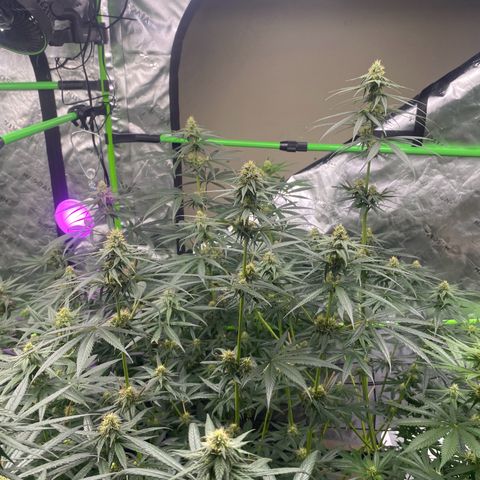 Baker bros  growlog timeline photo