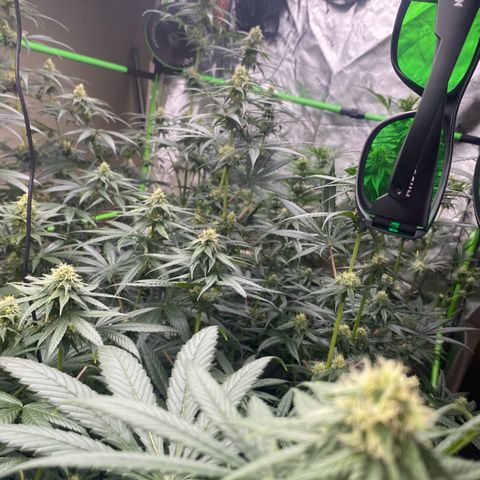 Baker bros  growlog timeline photo