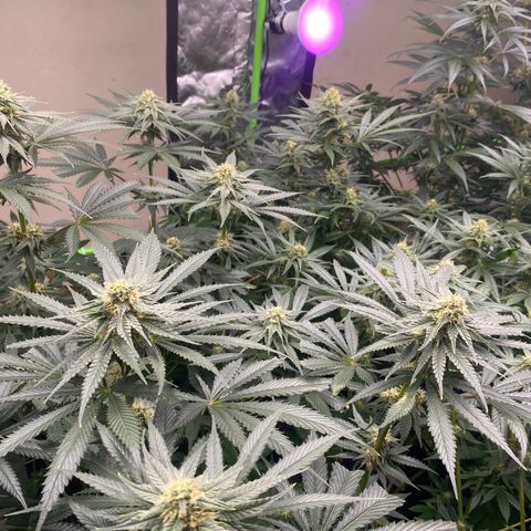 Baker bros  growlog timeline photo
