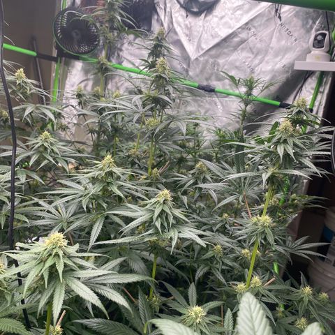 Baker bros  growlog timeline photo