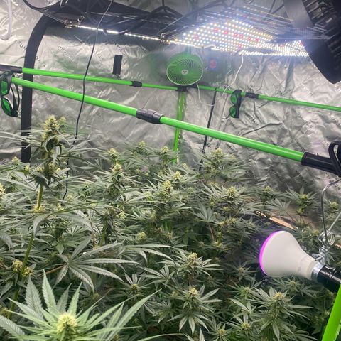 Baker bros  growlog timeline photo