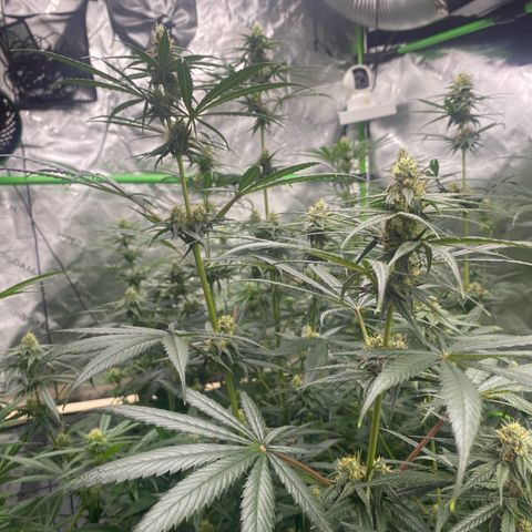 Baker bros  growlog timeline photo