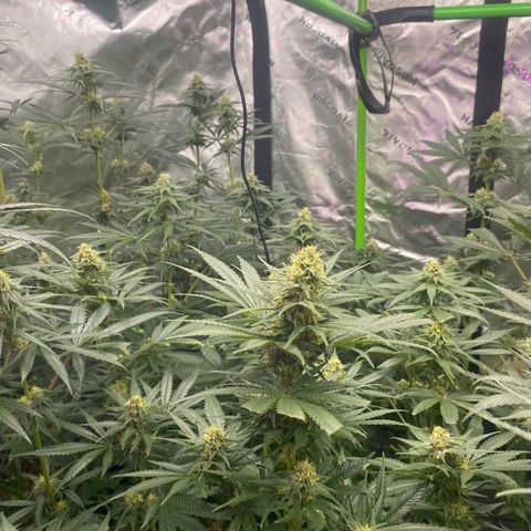 Baker bros  growlog timeline photo
