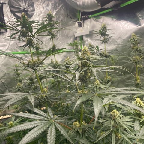 Baker bros  growlog timeline photo