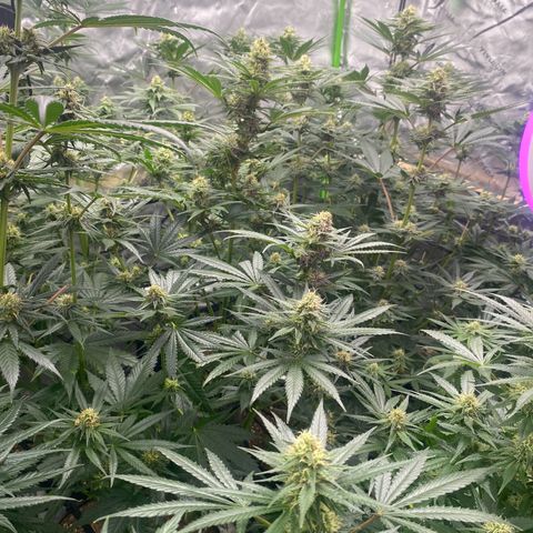 Baker bros  growlog timeline photo