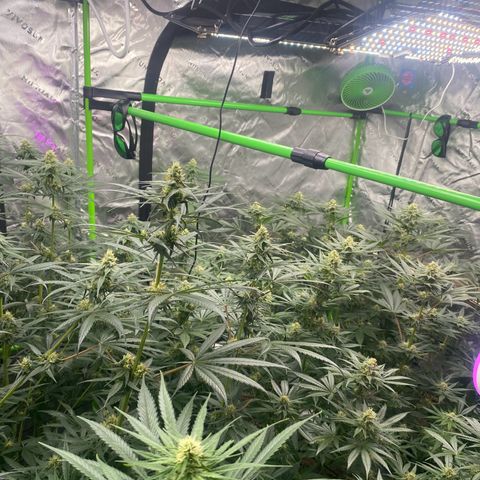 Baker bros  growlog timeline photo