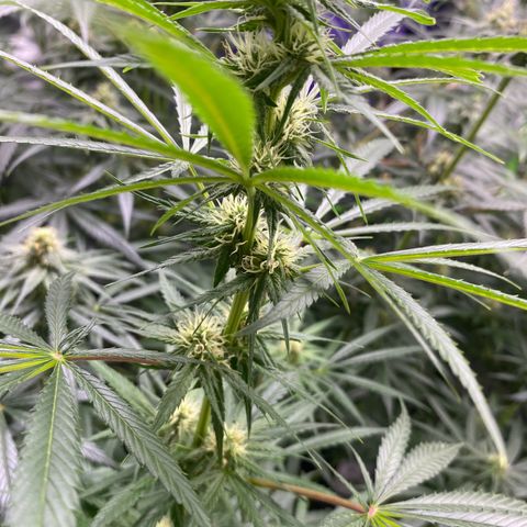 Baker bros  growlog timeline photo