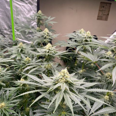 Baker bros  growlog timeline photo