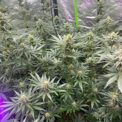 Baker bros  growlog timeline photo