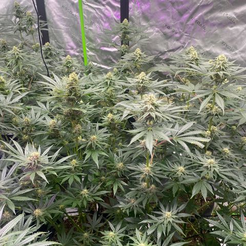 Baker bros  growlog timeline photo