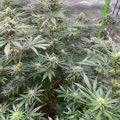 Baker bros  growlog timeline photo