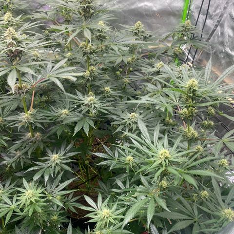 Baker bros  growlog timeline photo