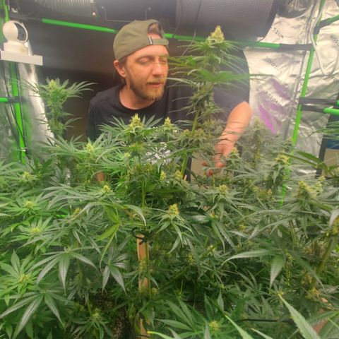 Baker bros  growlog timeline photo