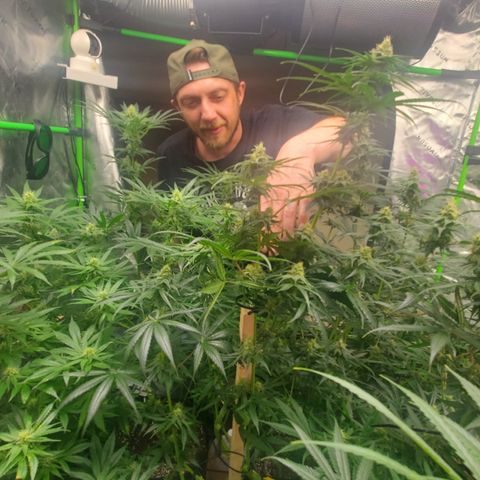 Baker bros  growlog timeline photo