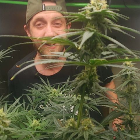 Baker bros  growlog timeline photo