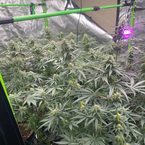 Baker bros  growlog timeline photo