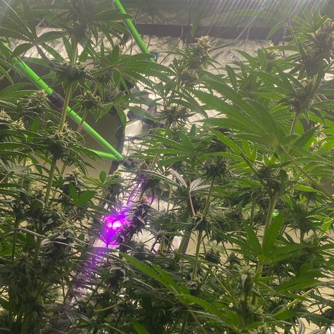 Baker bros  growlog timeline photo