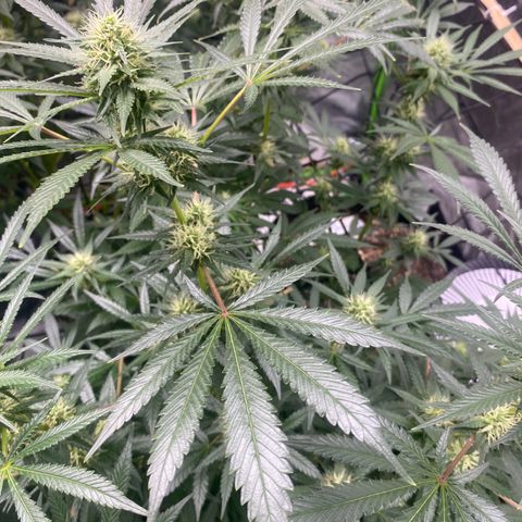 Baker bros  growlog timeline photo