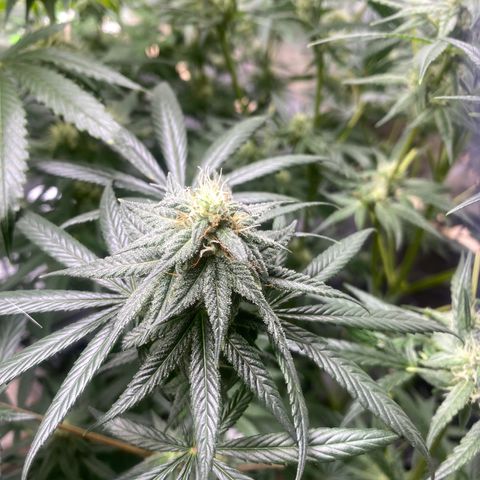 Baker bros  growlog timeline photo