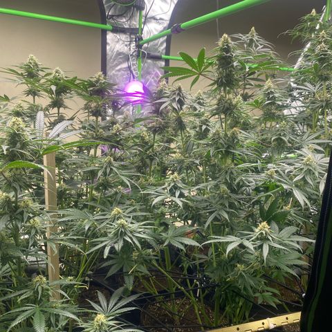 Baker bros  growlog timeline photo
