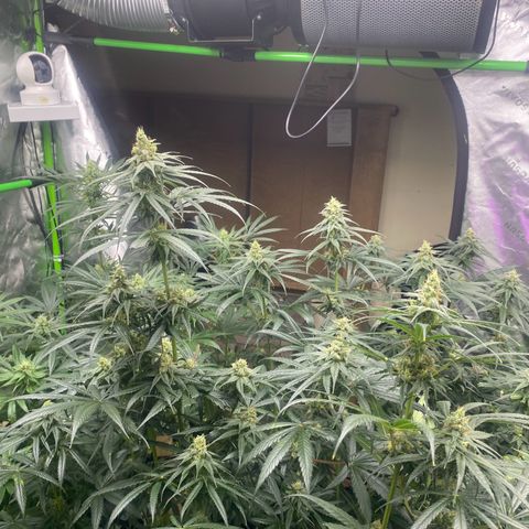 Baker bros  growlog timeline photo
