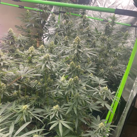 Baker bros  growlog timeline photo