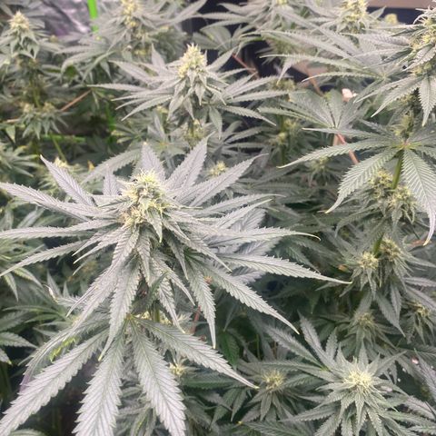Baker bros  growlog timeline photo