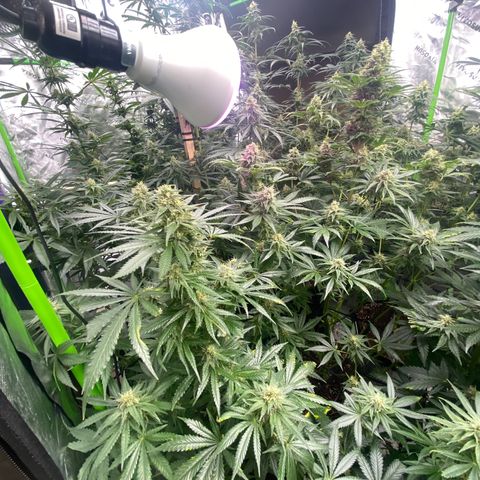 Baker bros  growlog timeline photo