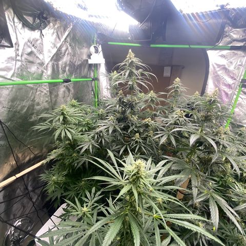 Baker bros  growlog timeline photo