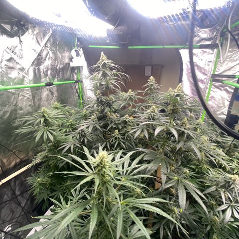 Baker bros  growlog timeline photo