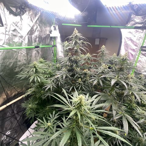 Baker bros  growlog timeline photo