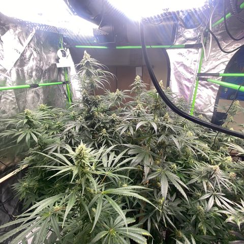 Baker bros  growlog timeline photo