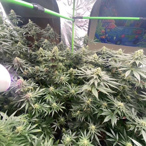 Baker bros  growlog timeline photo