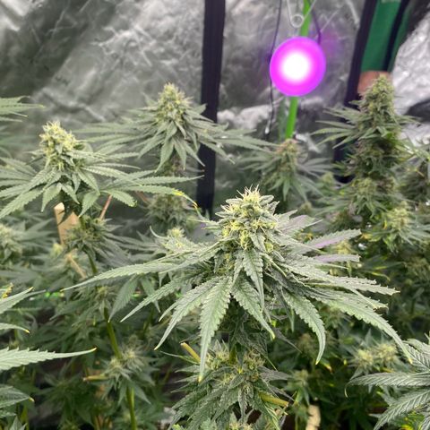 Baker bros  growlog timeline photo