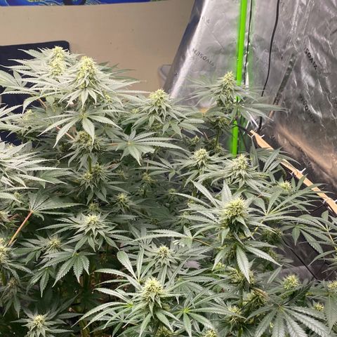 Baker bros  growlog timeline photo