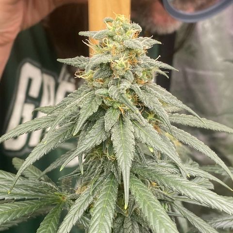Baker bros  growlog timeline photo