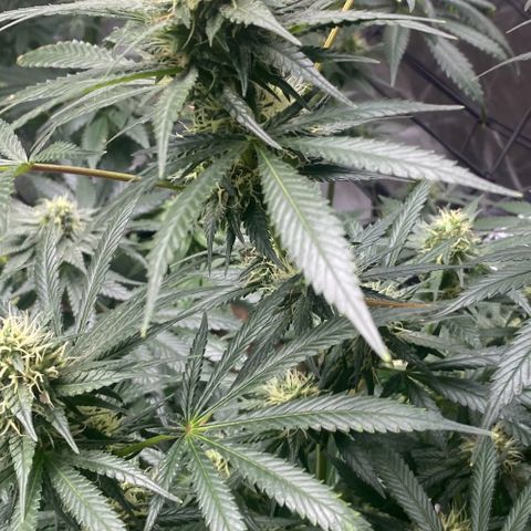 Baker bros  growlog timeline photo