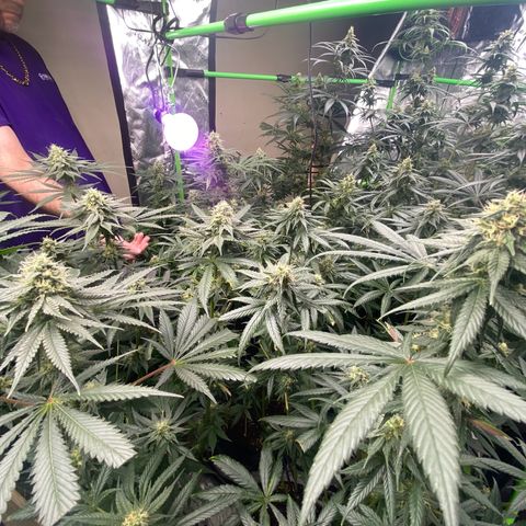 Baker bros  growlog timeline photo