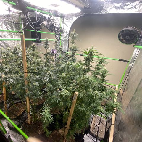 Baker bros  growlog timeline photo
