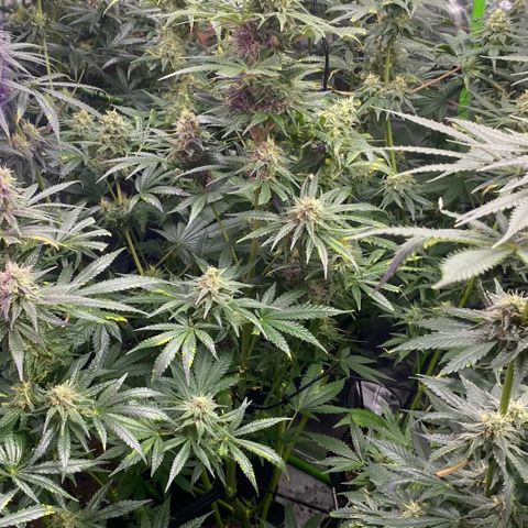 Baker bros  growlog timeline photo