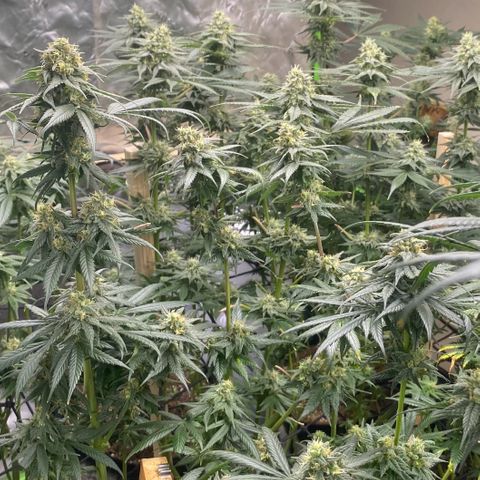 Baker bros  growlog timeline photo