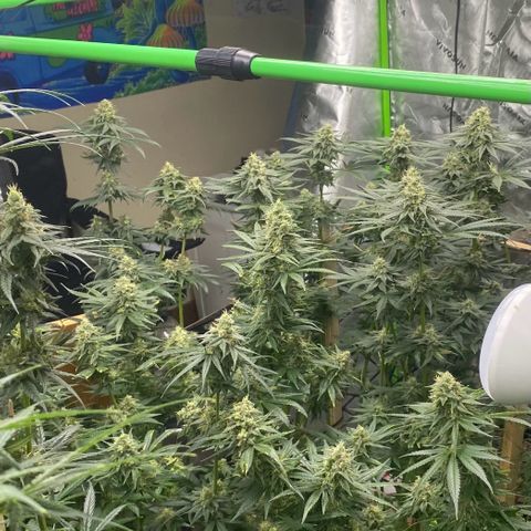Baker bros  growlog timeline photo