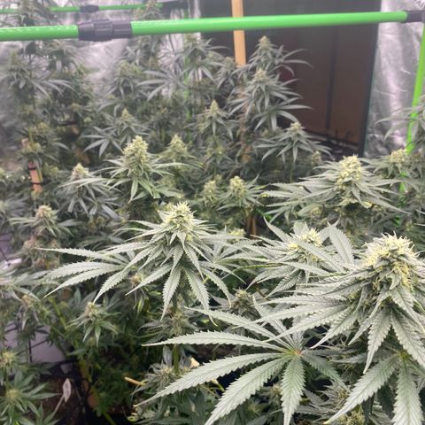 Baker bros  growlog timeline photo