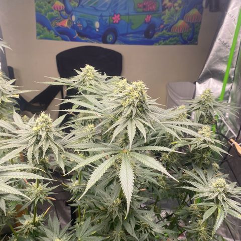 Baker bros  growlog timeline photo