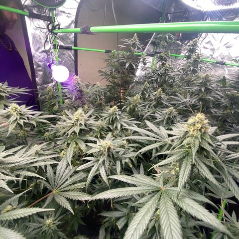 Baker bros  growlog timeline photo