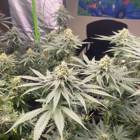 Baker bros  growlog timeline photo