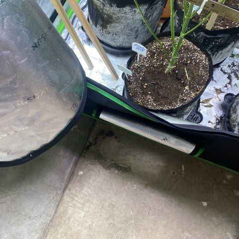 Baker bros  growlog timeline photo