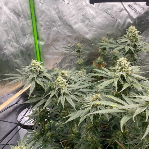 Baker bros  growlog timeline photo
