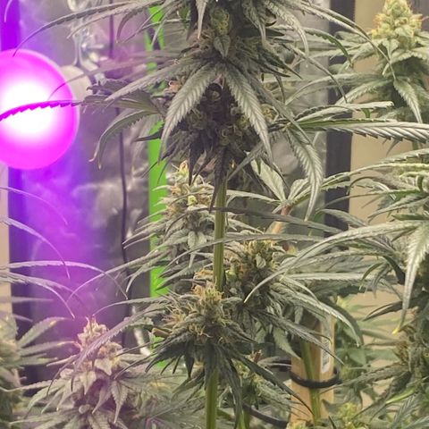 Baker bros  growlog timeline photo