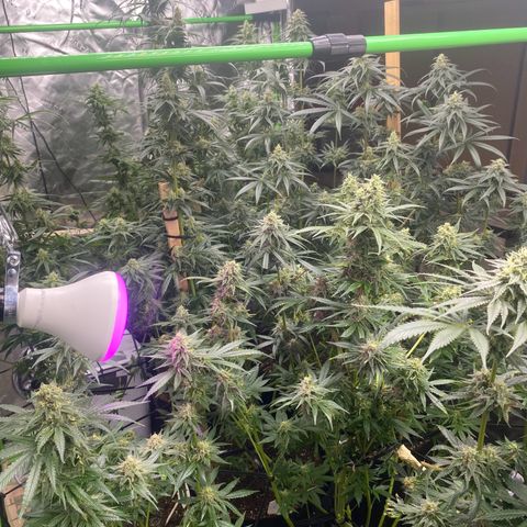Baker bros  growlog timeline photo